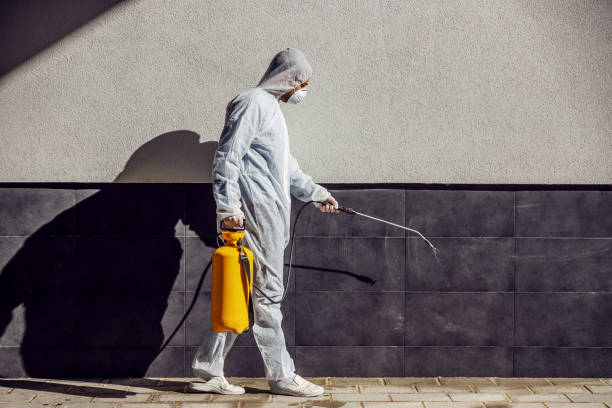 Απώθηση πτηνών – προστασία από περιστέρια στη Θεσσαλονίκη